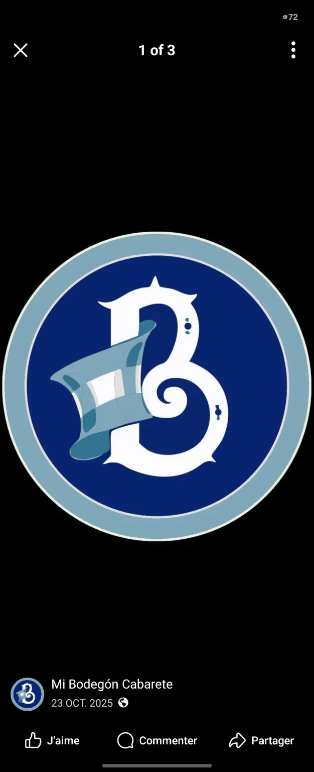 Logo de Mi Bodegón